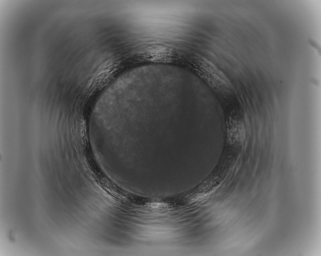 X0000096410748200802141540