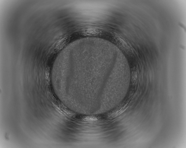 X0000096410749200802141540