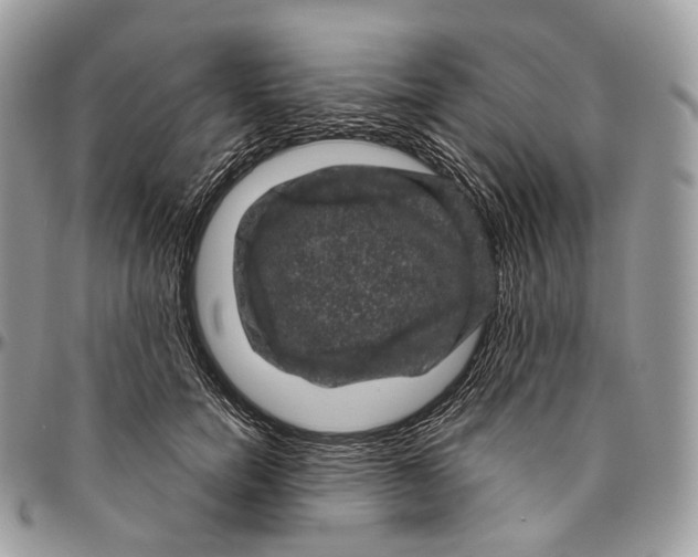 X0000096410750200802141540