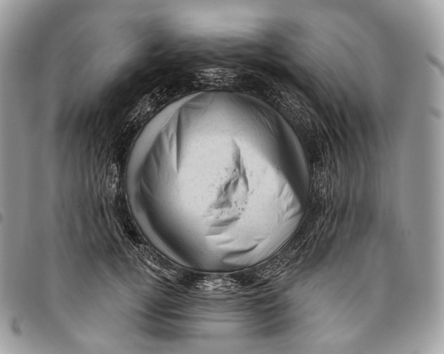 X0000096410752200802141540