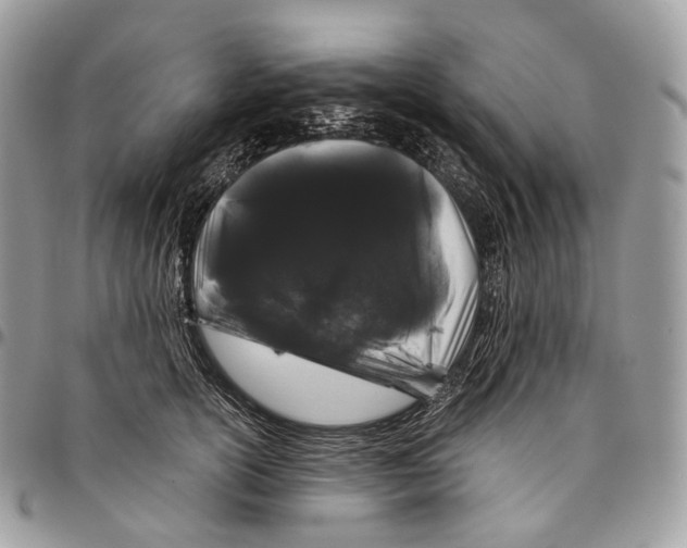 X0000096410754200802141540