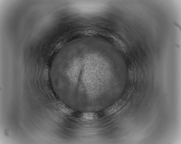 X0000096410757200802141540