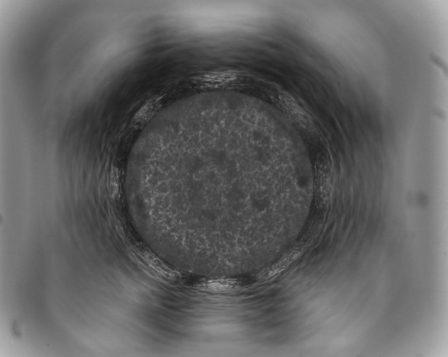 X0000096410758200802141540