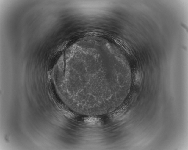 X0000096410759200802141540