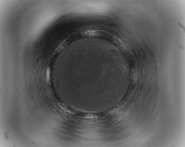 X0000096410760200802141540