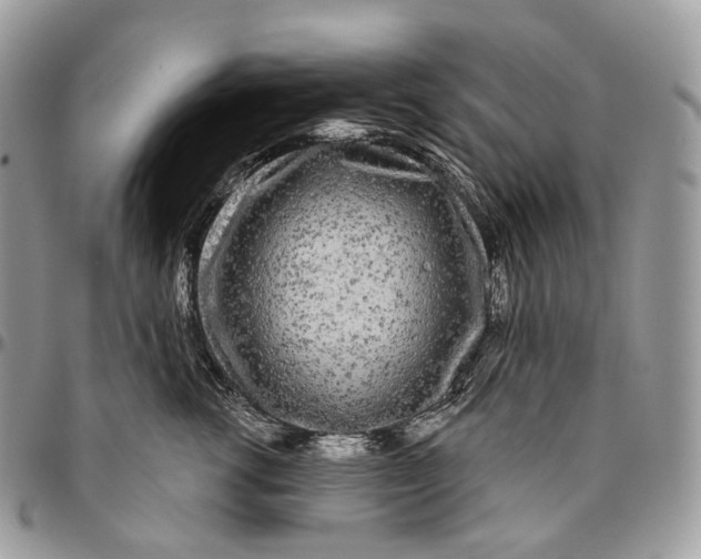 X0000096410762200802141540