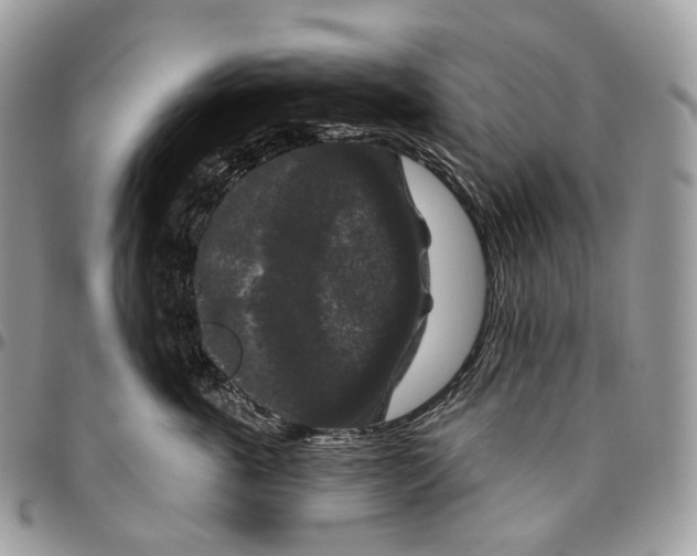 X0000096410763200802141540