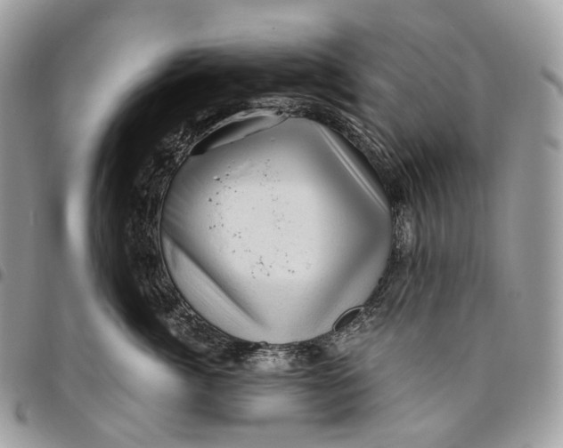 X0000096410764200802141540