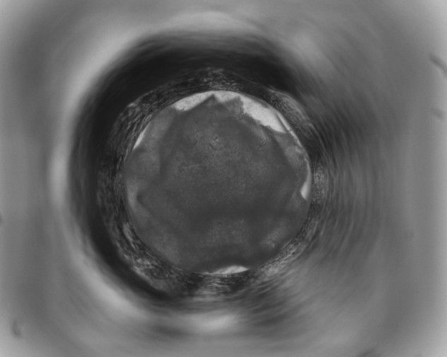 X0000096410765200802141540