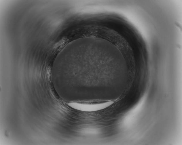 X0000096410767200802141541