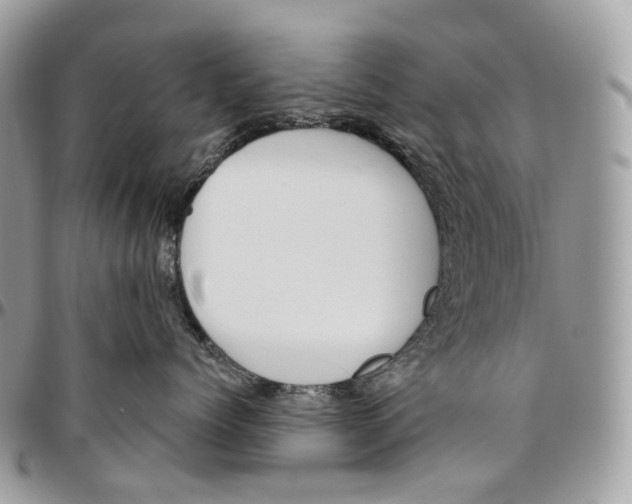 X0000096410768200802141541