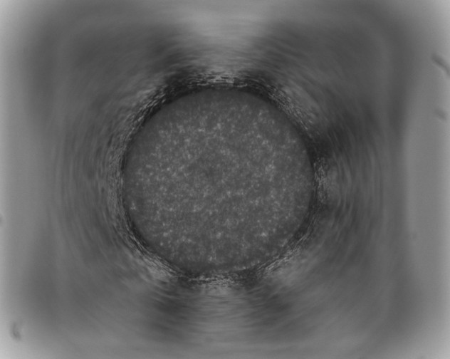 X0000096410769200802141540