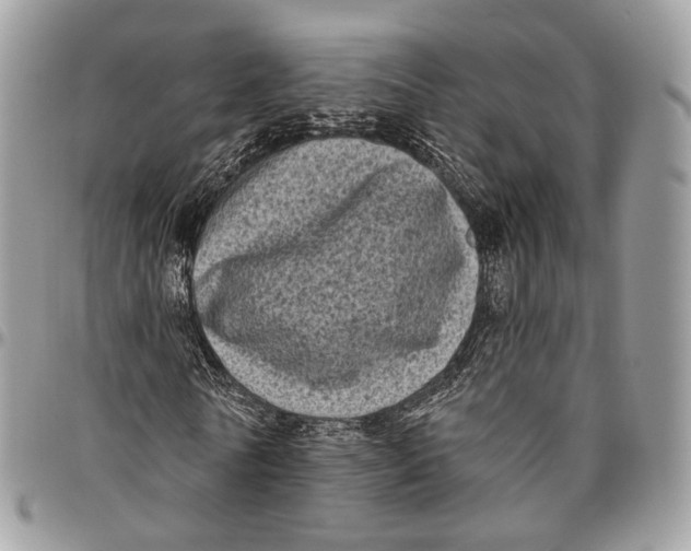 X0000096410770200802141540