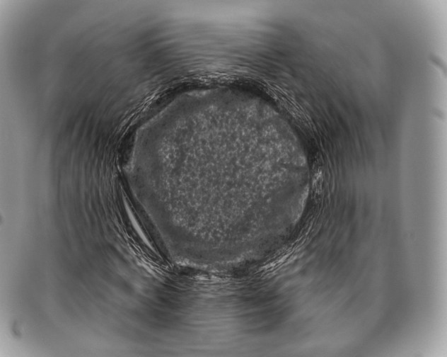 X0000096410772200802141540