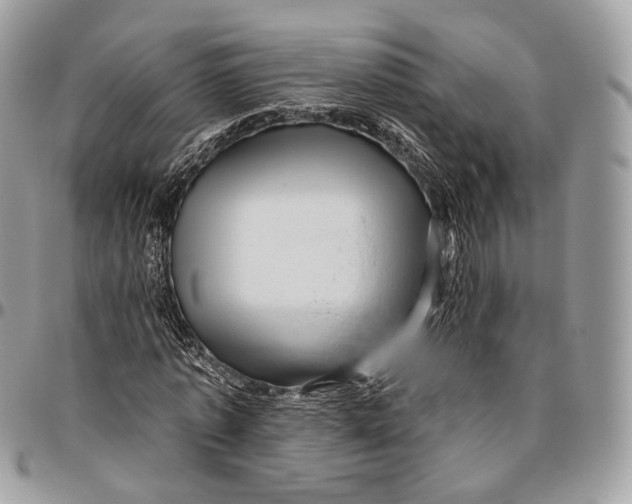 X0000096410773200802141540