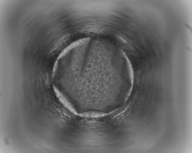 X0000096410774200802141540