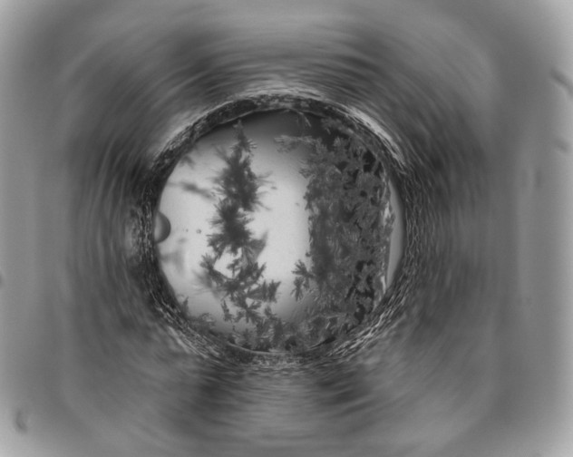 X0000096410775200802141540