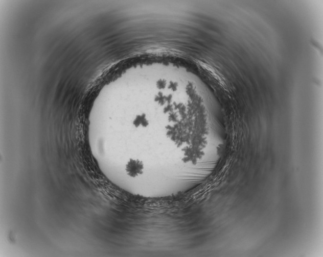 X0000096410776200802141540