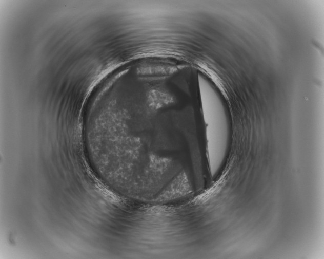 X0000096410779200802141540