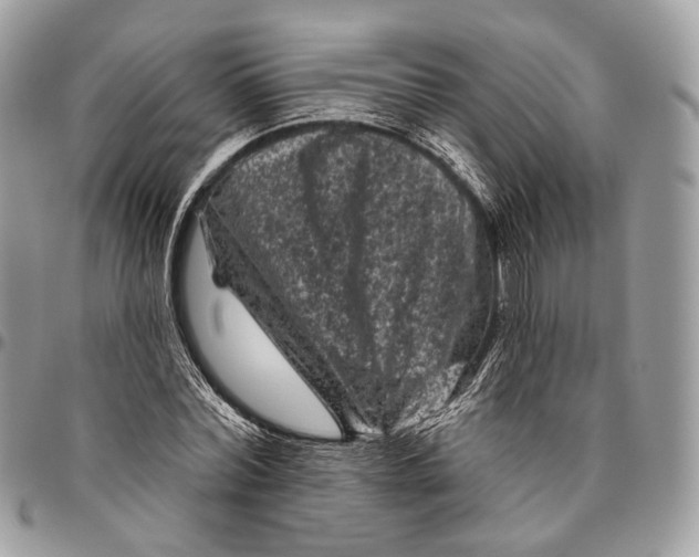 X0000096410780200802141540