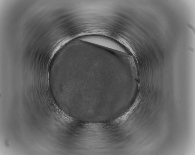 X0000096410781200802141540