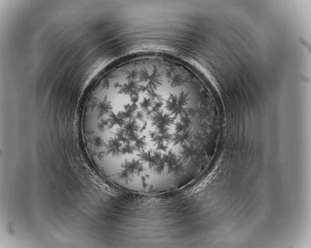 X0000096410783200802141540