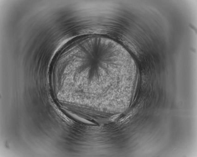 X0000096410784200802141540