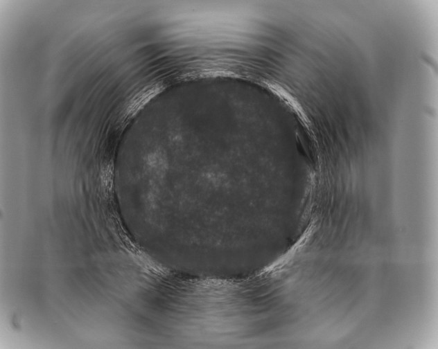 X0000096410785200802141540