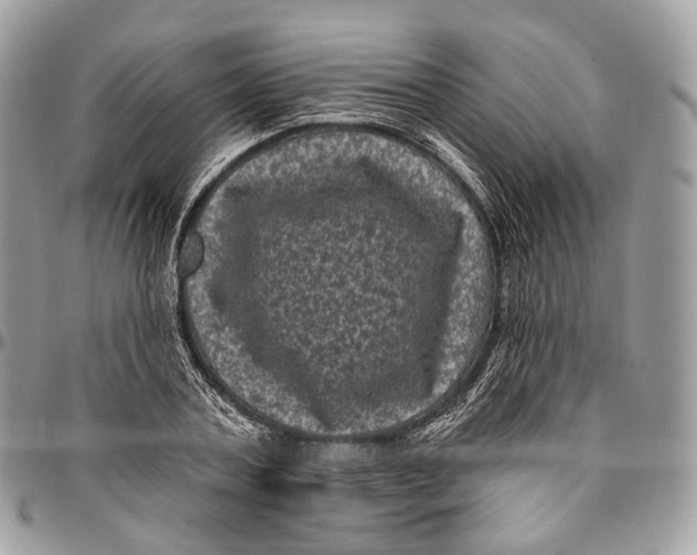 X0000096410787200802141540