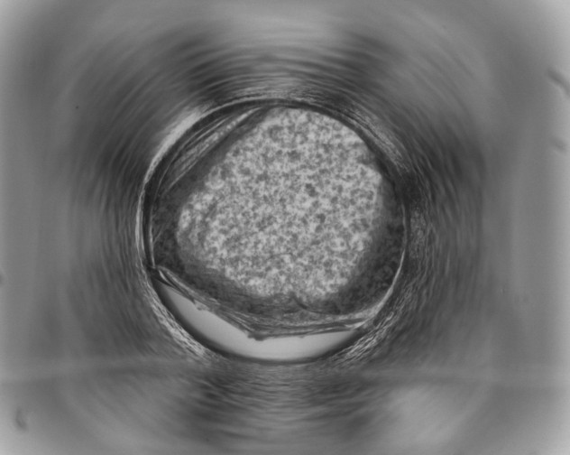 X0000096410788200802141540