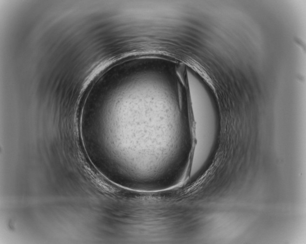 X0000096410789200802141540