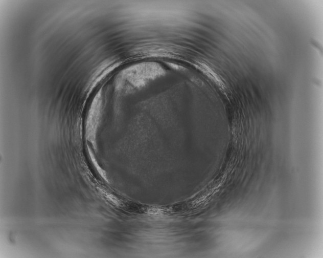 X0000096410790200802141540