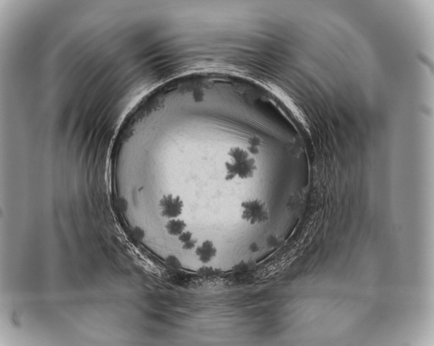 X0000096410791200802141540