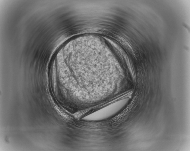 X0000096410792200802141540