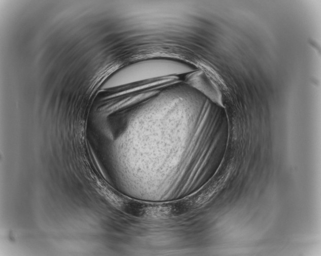 X0000096410793200802141540