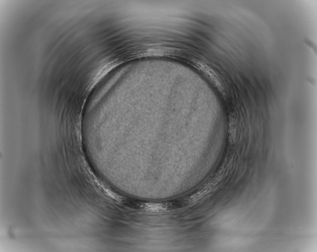 X0000096410794200802141540