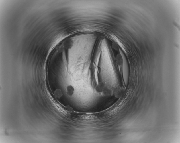 X0000096410795200802141540