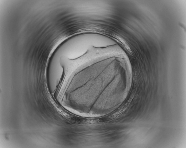 X0000096410796200802141540