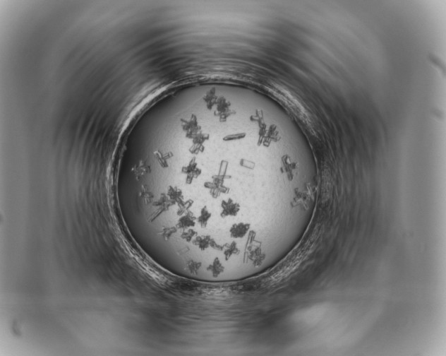 X0000096410798200802141539