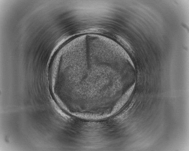 X0000096410800200802141539