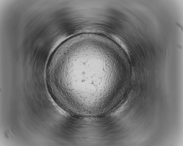 X0000096410803200802141539