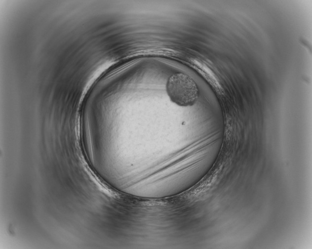 X0000096410804200802141539