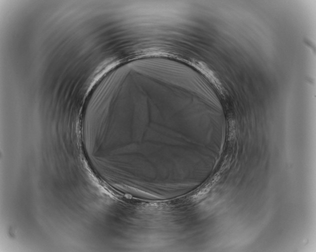 X0000096410806200802141539