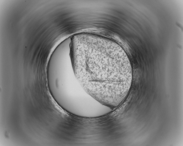 X0000096410808200802141539