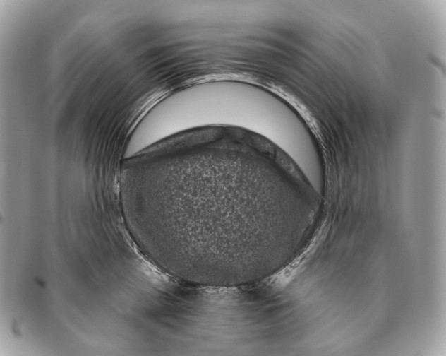 X0000096410809200802141539