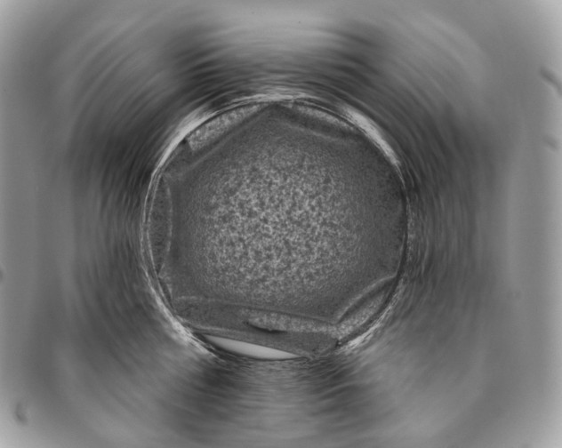 X0000096410810200802141539