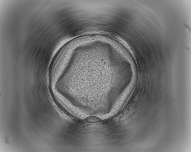 X0000096410811200802141539