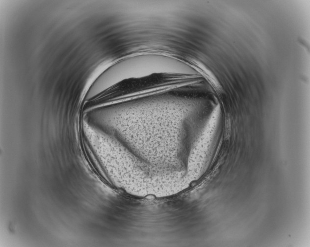 X0000096410812200802141539