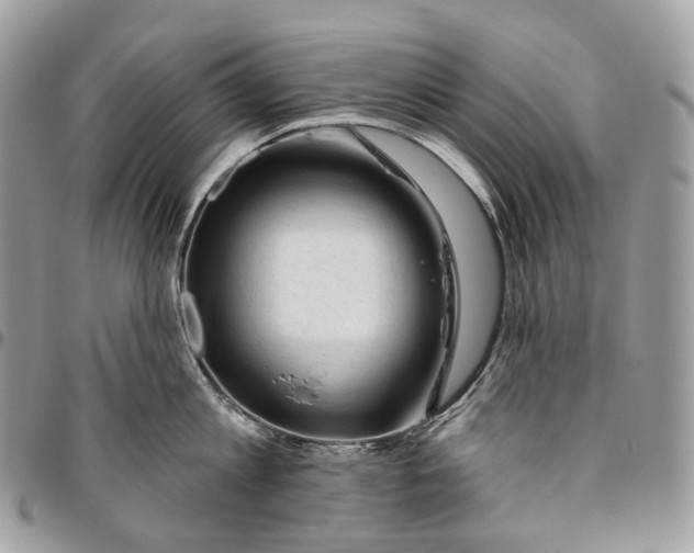 X0000096410813200802141539