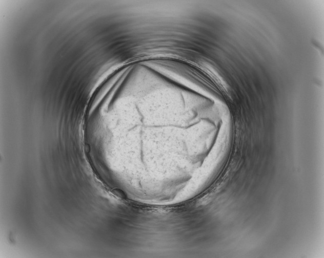 X0000096410814200802141539